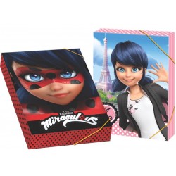 KESKİN  LADY BUG KUTU DOSYA