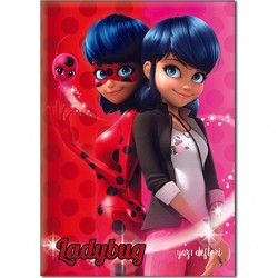 Keskin Color Lady Bug A5 40 Yaprak Güzel Yazı Defteri