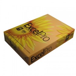 EXCEL Pro FOTOKOPİ KAĞIDI A4 200 GR 250Lİ 