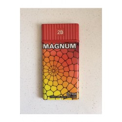 Magnum 0.7 mm Versatil Kalem Ucu 2B Min