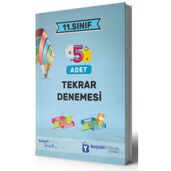 Başarıyorum Yayınları 11. Sınıf 5 li Tekrar Denemesi