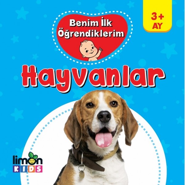 Benim İlk Öğrendiklerim Hayvanlar Benim İlk Öğrendiklerim Hayvanlar