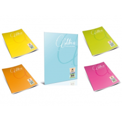 GIPTA  MICA PP KAP. DEFTER A4 40 YP. ÇİZGİLİ