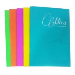 GIPTA  MICA PP KAP. DEFTER A4 60 KARELİ