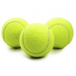 Wega Tenis Topu 3 lü 
